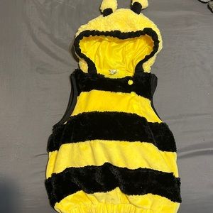 Bee costume